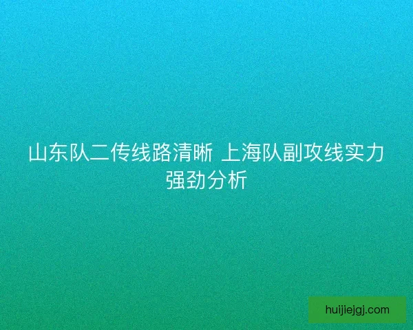 山东队二传线路清晰 上海队副攻线实力强劲分析